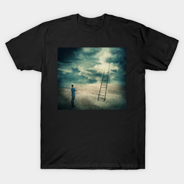 ladder to unknown T-Shirt by 1STunningArt